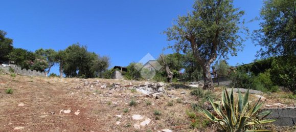 2 غرف نوم منزل في Vibonati, Italy رقم 283733 7