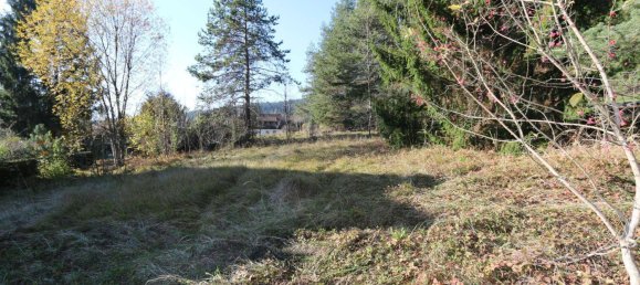 Land in Hermagor-Pressegger See, Austria No. 72864 2