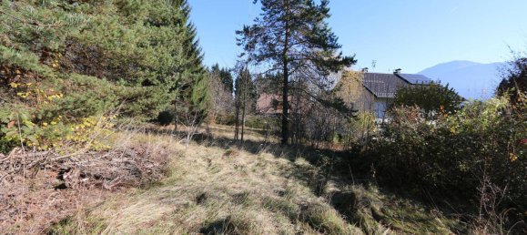  Land in Hermagor-Pressegger See, Austria No. 72864 4