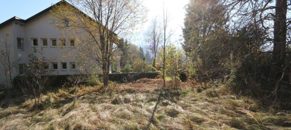  Land in Hermagor-Pressegger See, Austria No. 72864 3