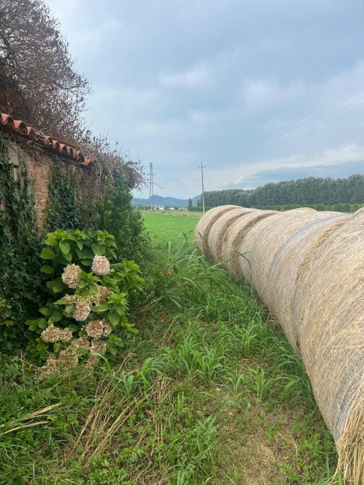 Дом с 5 комнатами в Монселиче, Италия № 72525