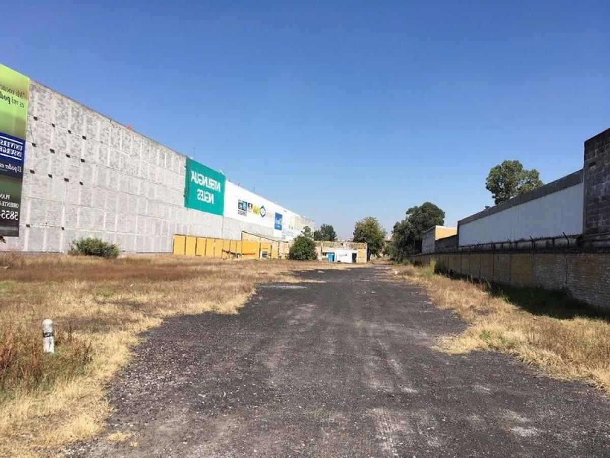 1 chambre Terrain à La Paz, Mexico No. 203239