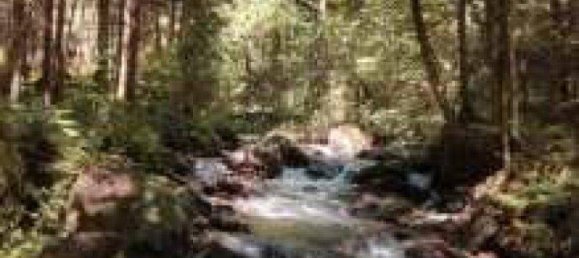 Grundstück in Völkermarkt, Austria, Nr. 83484 2