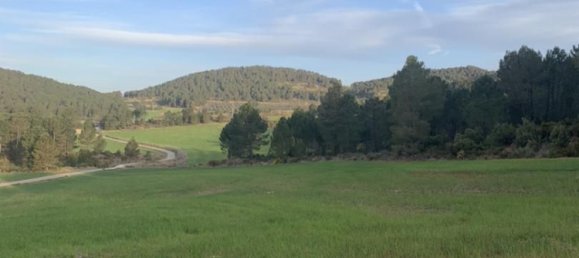 7 Schlafzimmer Haus in Cortes De Pallas, Spain, Nr. 165981 12