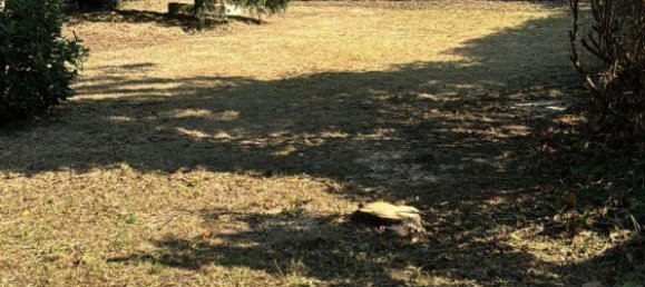 2 Schlafzimmer Grundstück in Mettmann, Germany, Nr. 207818 4