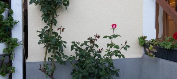 6 bedrooms House in Frankenthal, Germany No. 273406 18