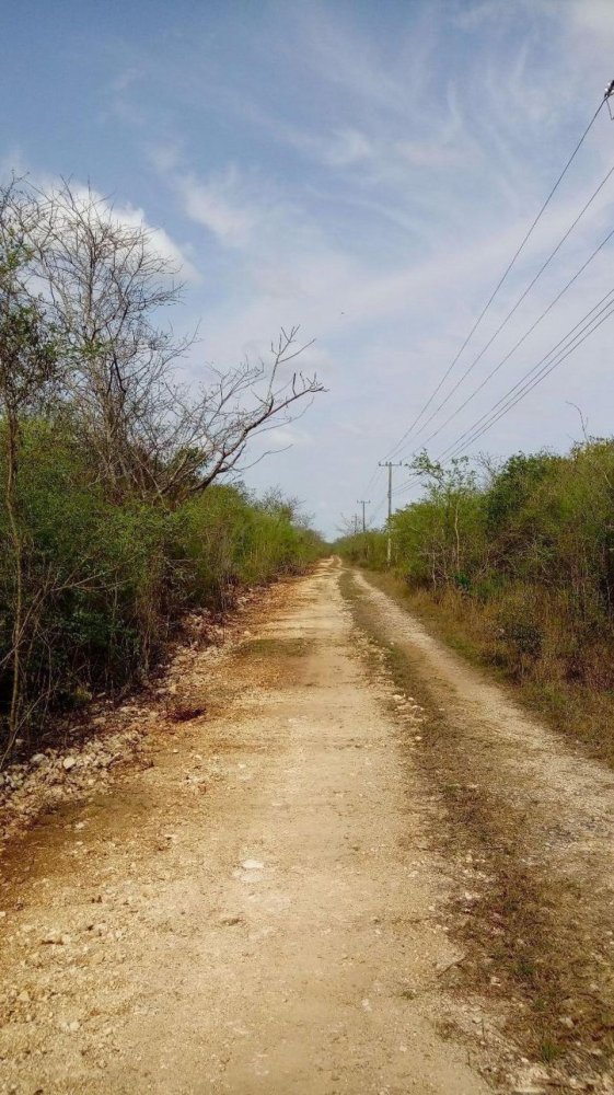  قطعة أرض في Merida, Mexico رقم 100577