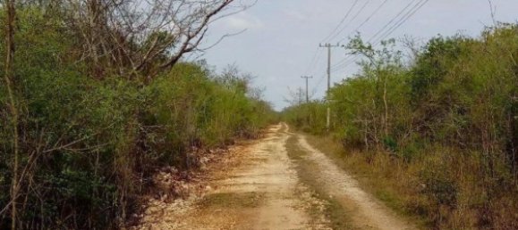  قطعة أرض في Merida, Mexico رقم 100577 2