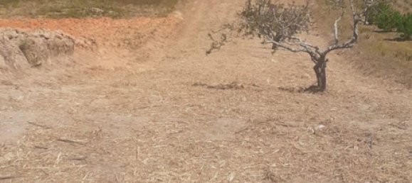  Land in Torres Vedras, Portugal No. 189859 5