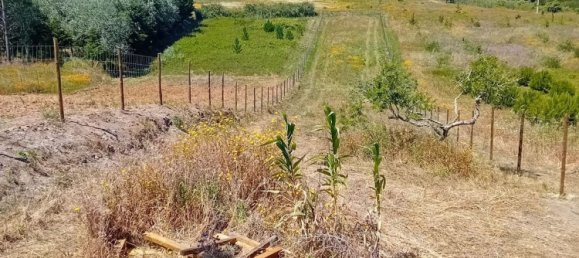  Land in Torres Vedras, Portugal No. 189859 3