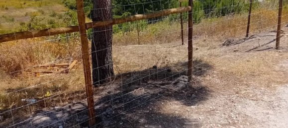  Land in Torres Vedras, Portugal No. 189859 9