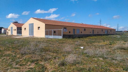Entrepôt à Navalmanzano, Spain 1200m² No. 158400