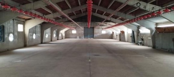 1200m² Warehouse in Navalmanzano, Spain No. 158400 7