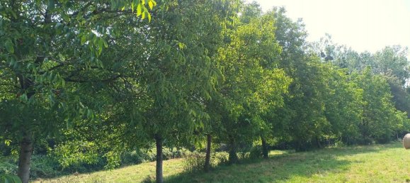 4 bedrooms House in Bergerac, France No. 277832 13