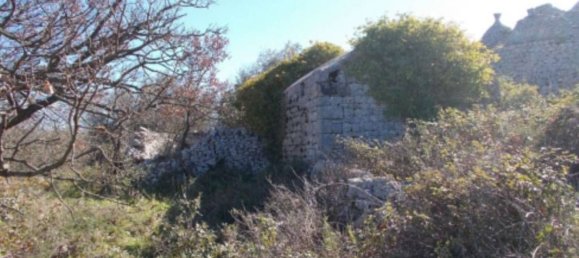 5-Zimmer Haus in Locorotondo, Italy, Nr. 236743 6