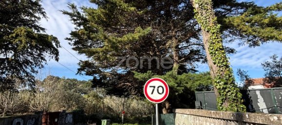 7 Schlafzimmer Villa in Sintra, Portugal, Nr. 97733 13