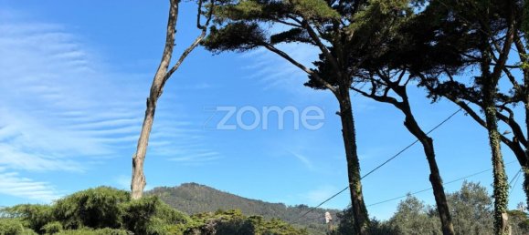 7 Schlafzimmer Villa in Sintra, Portugal, Nr. 97733 16