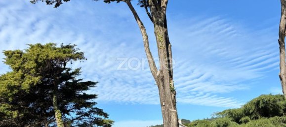 7 Schlafzimmer Villa in Sintra, Portugal, Nr. 97733 15