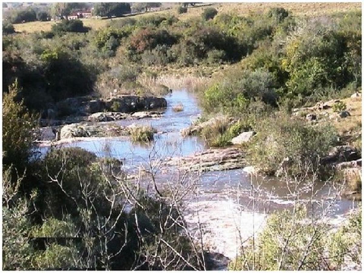 18m² Farm in Maldonado, Uruguay No. 14147