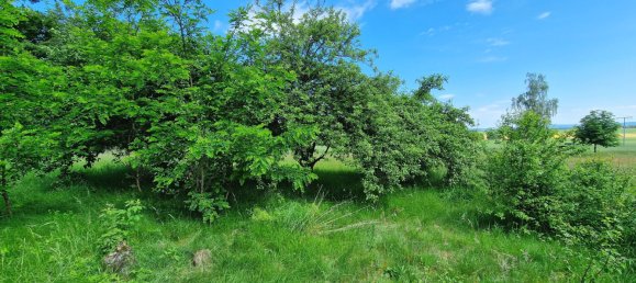 2-salle Maison à Amberg-Sulzbach, Germany No. 191712 6