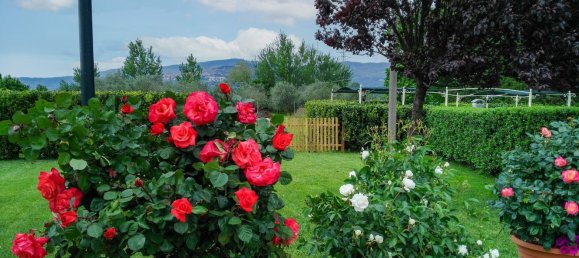 Квартира с 2 комнатами в Кортона, Италия № 127188 13