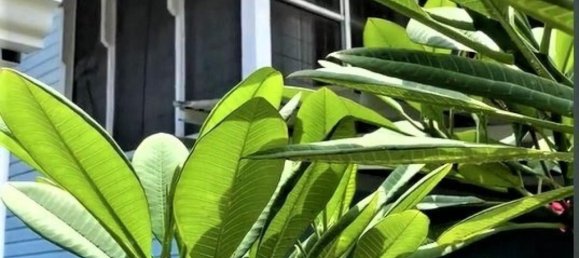 Casa de 2 dormitorios en Savegre, Costa Rica No. 1998 2