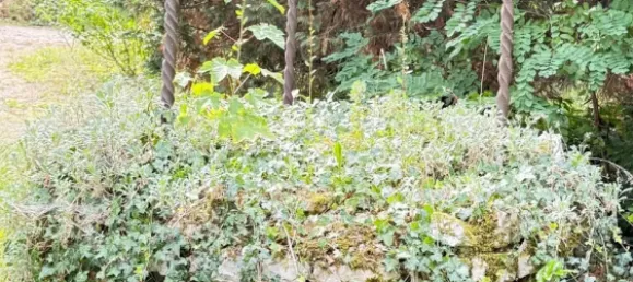 Villa T8 em Argent-sur-Sauldre, France N.º 316973 17