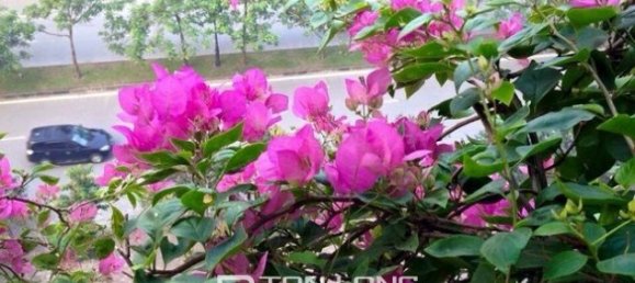 Квартира с 4 спальнями в Намтыльем, Вьетнам № 2353 16