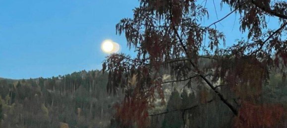 5غرفة منزل في Krumau am Kamp, Austria رقم 142969 42