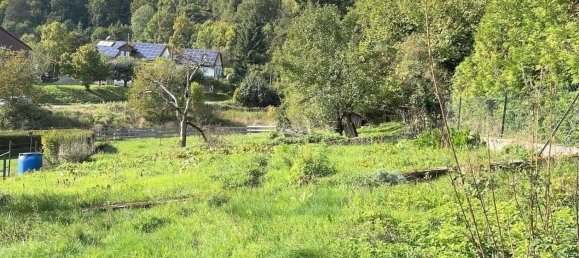 3 غرف نوم منزل في Baden-Wurttemberg, Germany رقم 58923 21