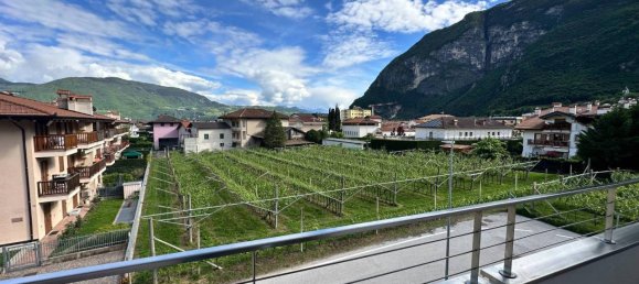 Пентхаус с 5 комнатами в Медзоломбардо, Италия № 83879 15