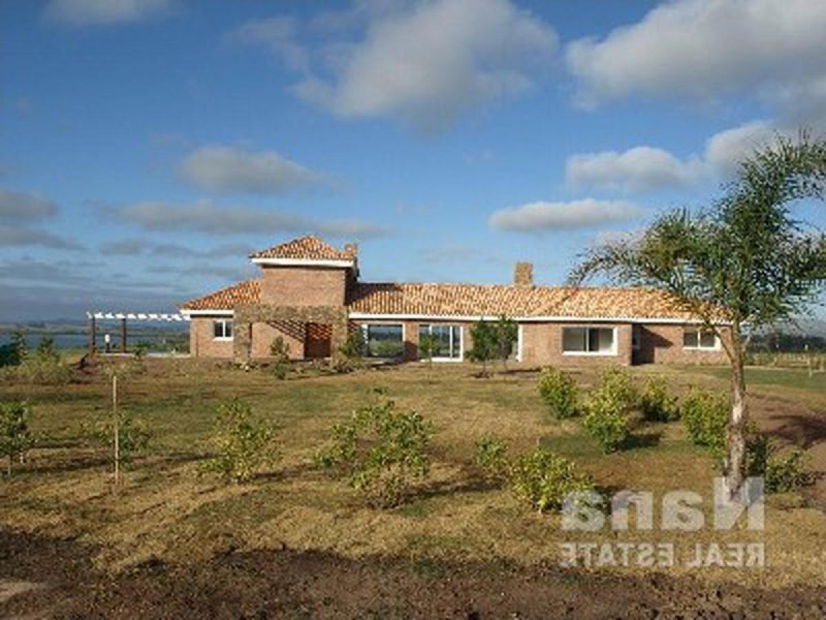 Bauernhof in Maldonado, Uruguay, Nr. 14802