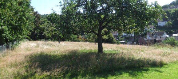 Grundstück in Siegen-Wittgenstein, Germany, Nr. 270160 5