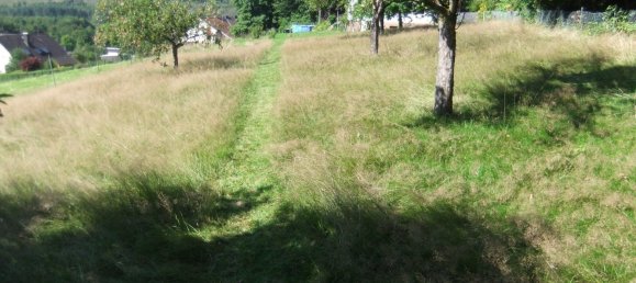 Grundstück in Siegen-Wittgenstein, Germany, Nr. 270160 6