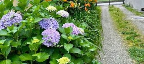 4-Zimmer Wohnung in Arona, Italy, Nr. 224998 28