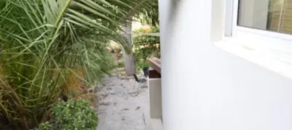 4 غرف نوم منزل في Palma de Majorca, Spain رقم 170061 48