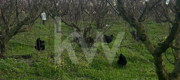 2 bedrooms Castles in Palmela, Portugal No. 160085 31