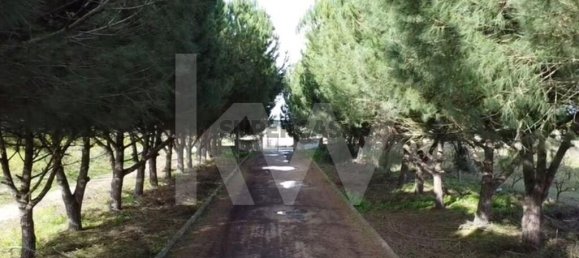 2 bedrooms Castles in Palmela, Portugal No. 160085 28