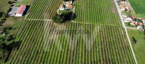 2 bedrooms Castles in Palmela, Portugal No. 160085 5