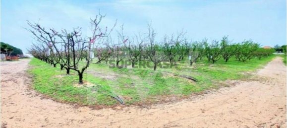 2 bedrooms Castles in Palmela, Portugal No. 160085 29