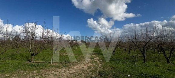 2 bedrooms Castles in Palmela, Portugal No. 160085 24