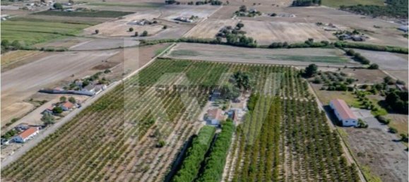 2 bedrooms Castles in Palmela, Portugal No. 160085 7