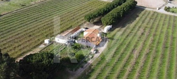 2 bedrooms Castles in Palmela, Portugal No. 160085 4