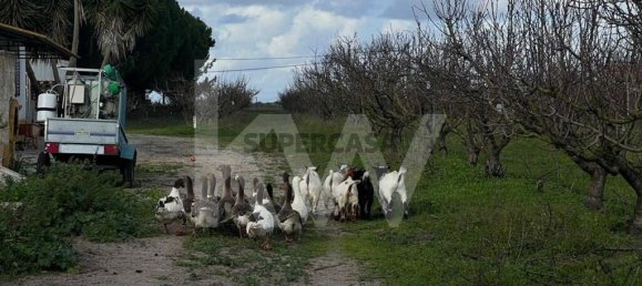 2 bedrooms Castles in Palmela, Portugal No. 160085 32