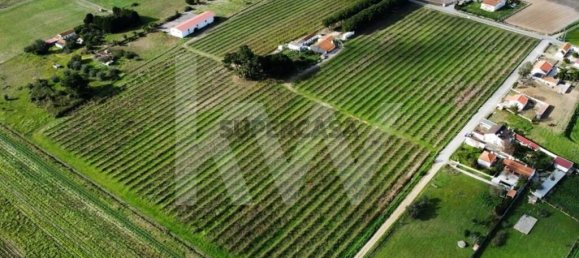 2 bedrooms Castles in Palmela, Portugal No. 160085 8