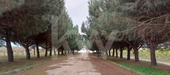 2 bedrooms Castles in Palmela, Portugal No. 160085 27