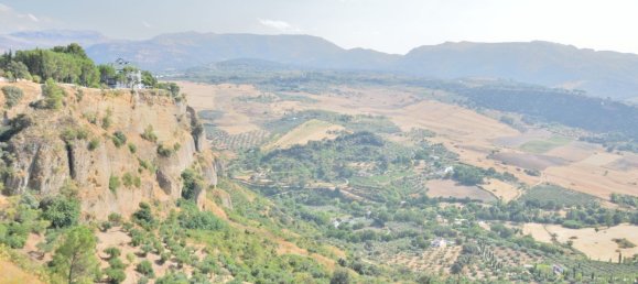 4 bedrooms Commercial property in Lessac, France No. 1895 19