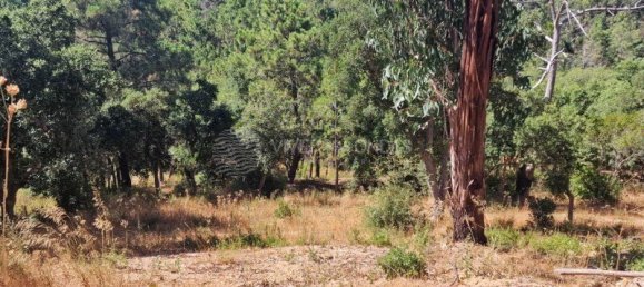  Land in Vila Franca de Xira, Portugal No. 275768 41