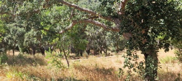  Land in Vila Franca de Xira, Portugal No. 275768 43