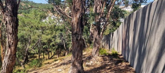  Land in Vila Franca de Xira, Portugal No. 275768 49